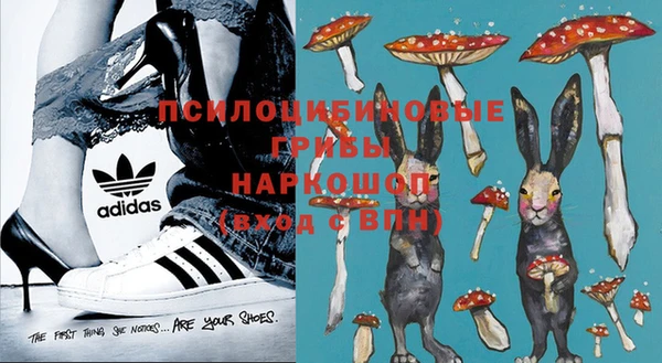 не бодяженный Алексин