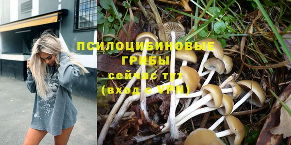 не бодяженный Алексин