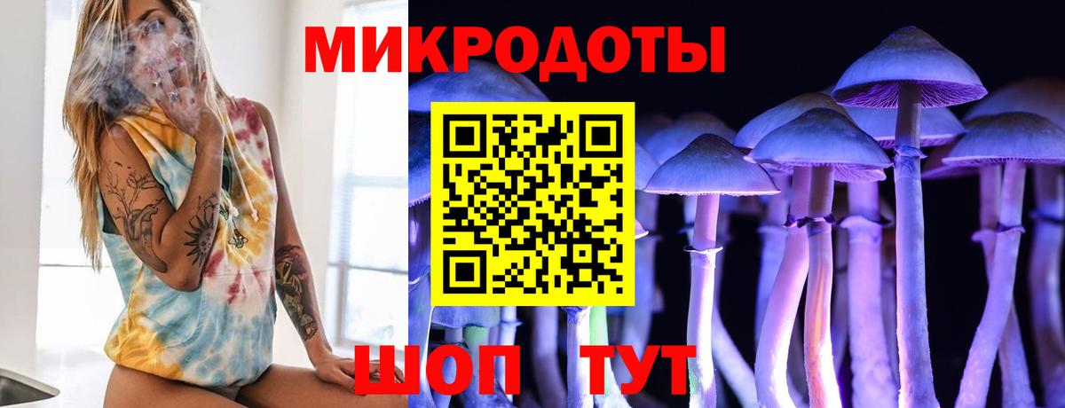 Златоуст  Псилоцибиновые грибы мицелий  Вход с VPN 